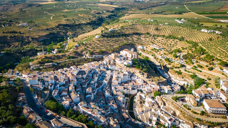 Vista panorámica del paisaje de viñedos en Briones, La Rioja