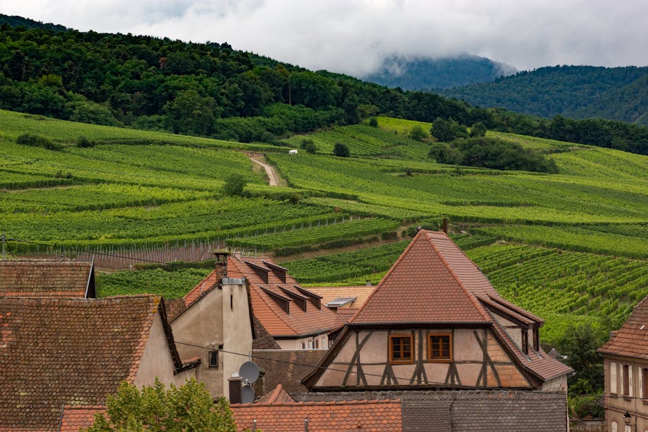 Bodegas históricas del Barrio de la Estación en Haro, La Rioja