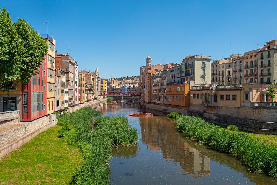 Centro histórico de Logroño con la Catedral de Santa María de la Redonda