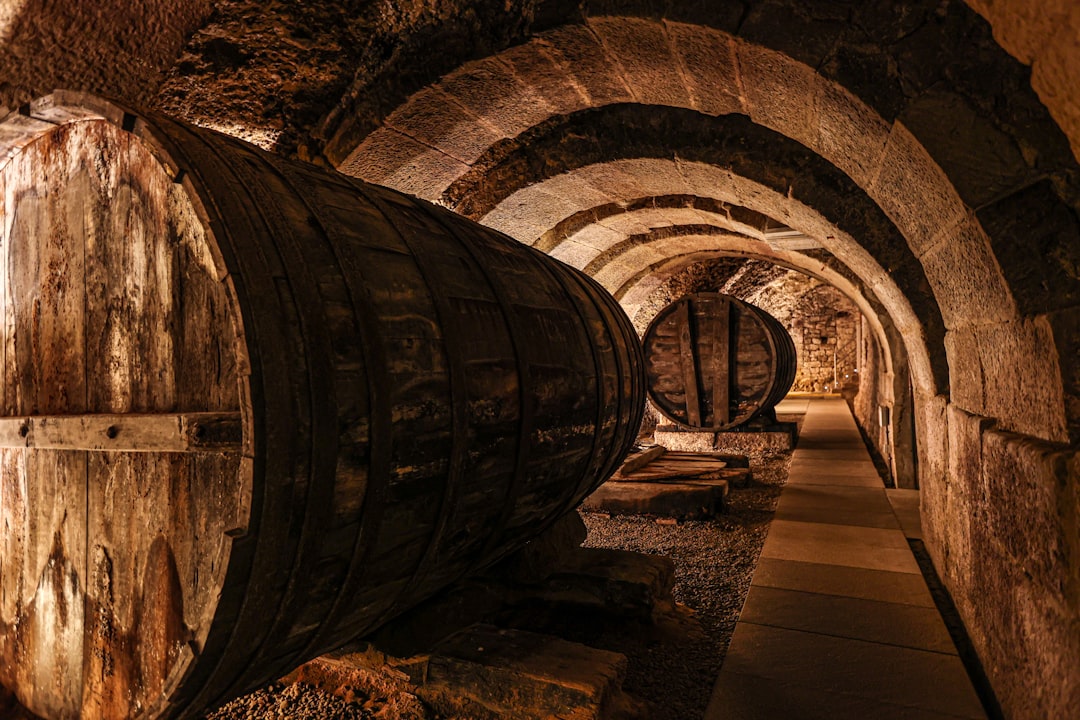 Cueva subterránea de Laguardia, villa medieval amurallada de la Rioja Alavesa